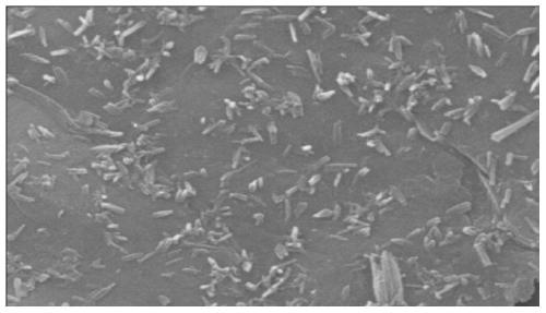 Preparation and application for straw cellulose/graphene oxide composite material