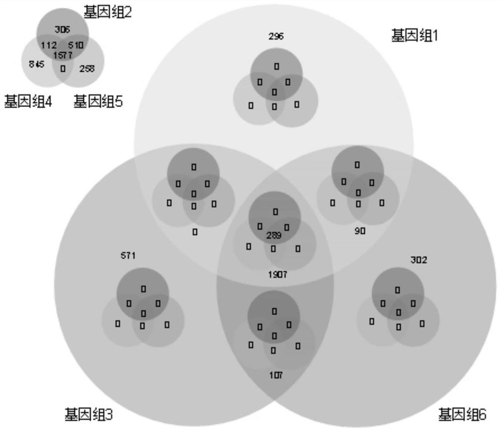 Construction method and system of microbial gene database