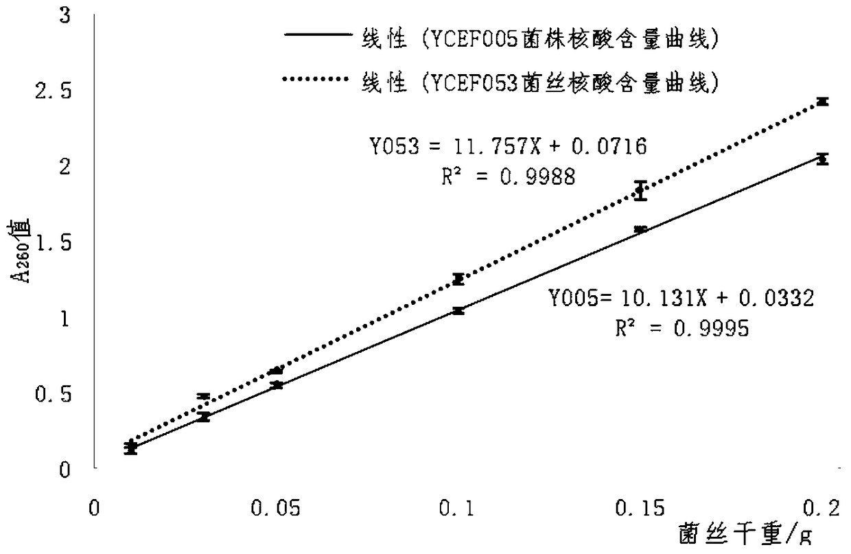 Solid-state fermentation medium of tobacco endophytic fungus strain ycef005 and its cultivation method