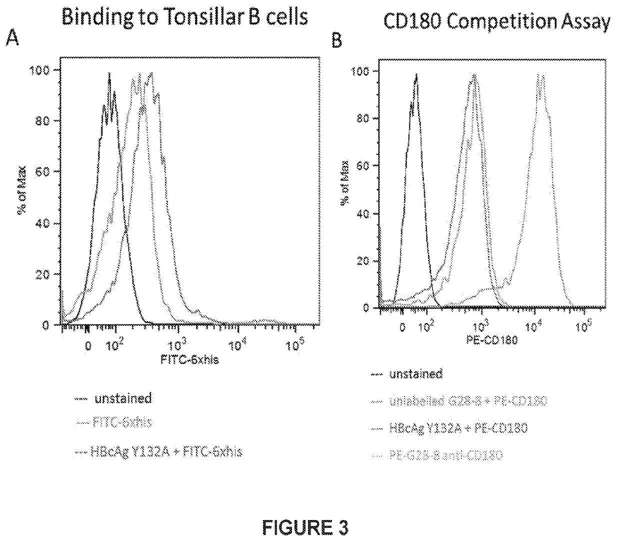 Therapeutic Vaccine for Hepatitis B Virus (HBV) using the HBV Core Antigen