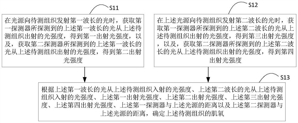 Muscle oxygen detection method, muscle oxygen recovery method and system