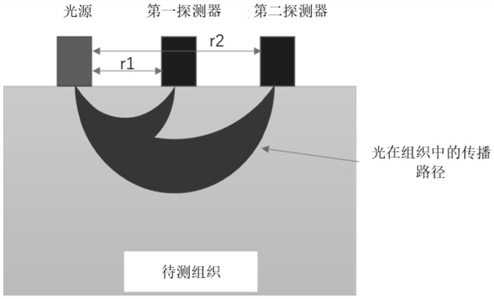 Muscle oxygen detection method, muscle oxygen recovery method and system