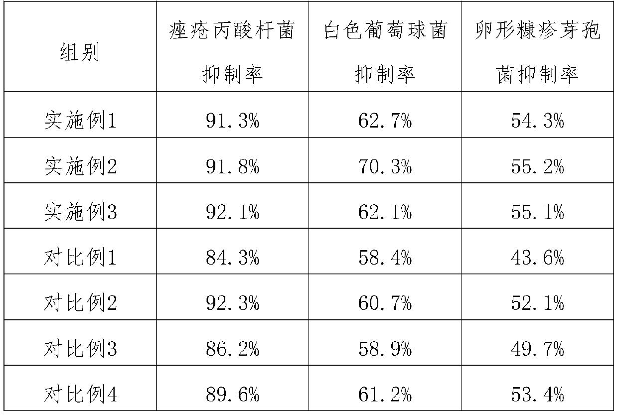 Traditional Chinese medicine bath lotion and preparation method thereof