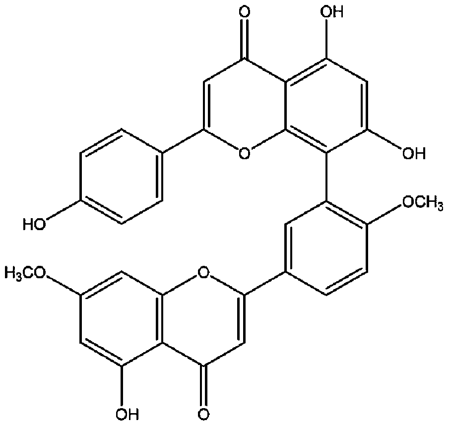 Application of Ginkgo biloba in the preparation of drugs for the treatment of Streptococcus suis infection