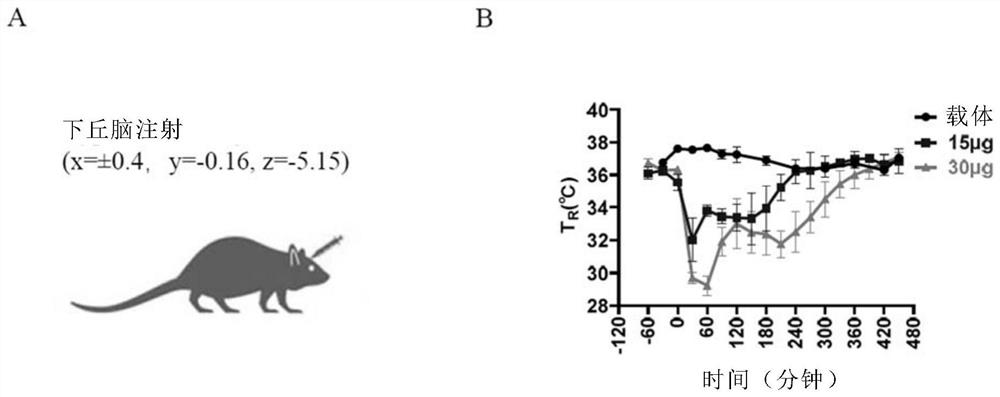 Application of compound P57 or analogs thereof to body temperature reduction and neuroprotection