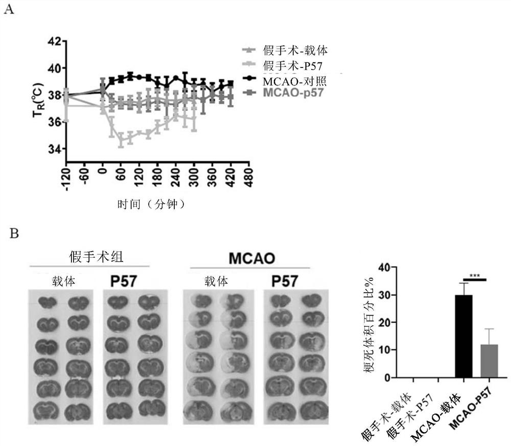 Application of compound P57 or analogs thereof to body temperature reduction and neuroprotection