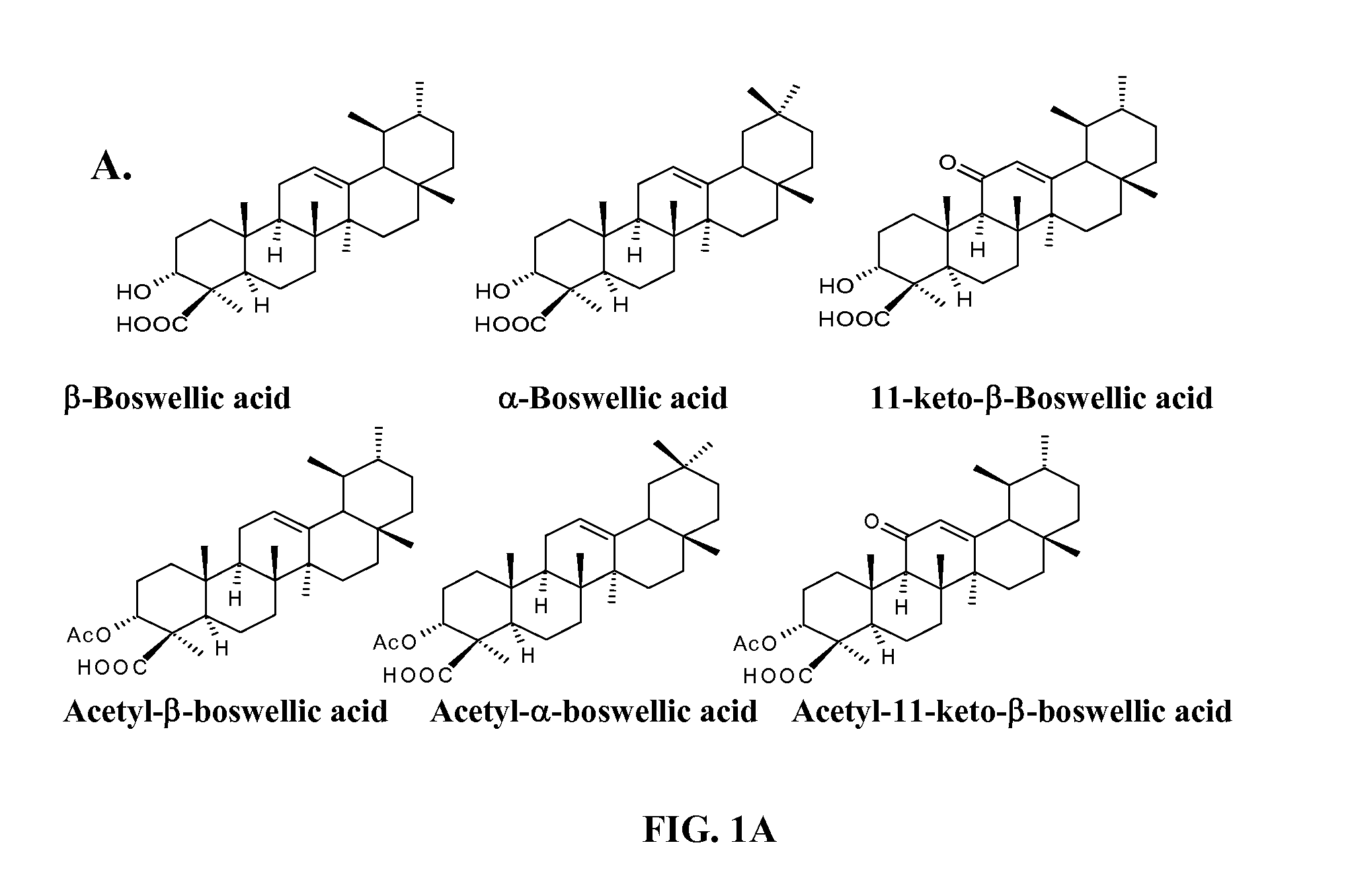 Use of semi synthetic analogues of boswellic acids for anticancer activity