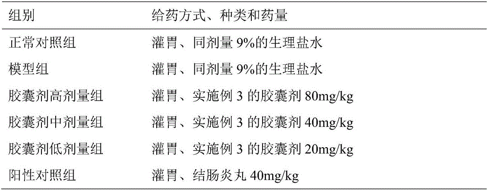 Pharmaceutical preparation for treating colitis and application thereof