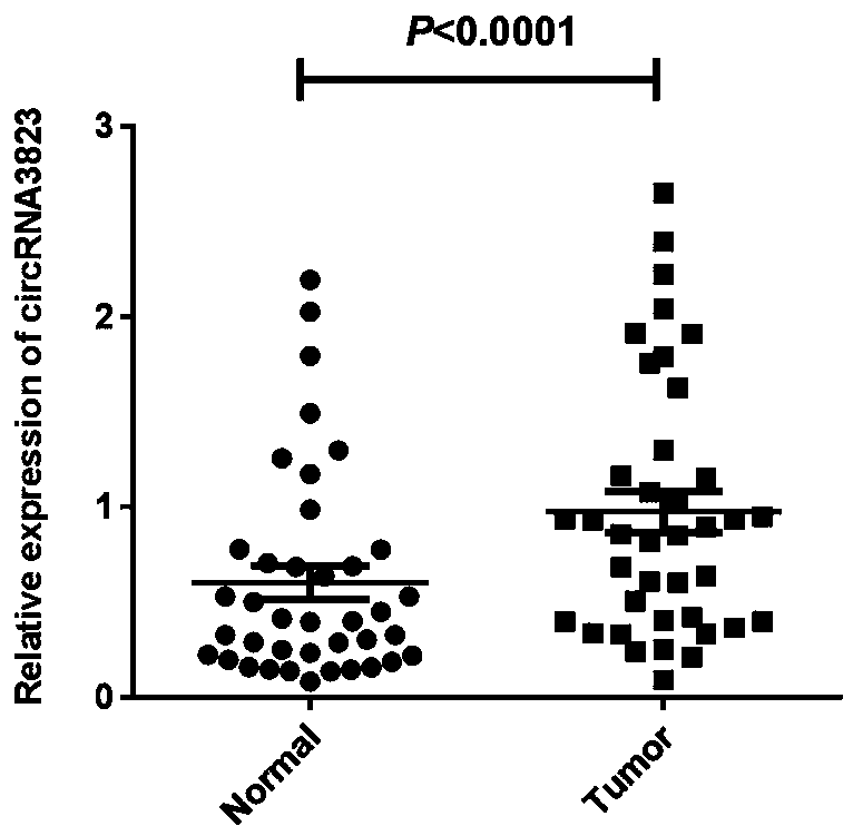 Diagnostic marker circ3823 for early colorectal cancer and application thereof