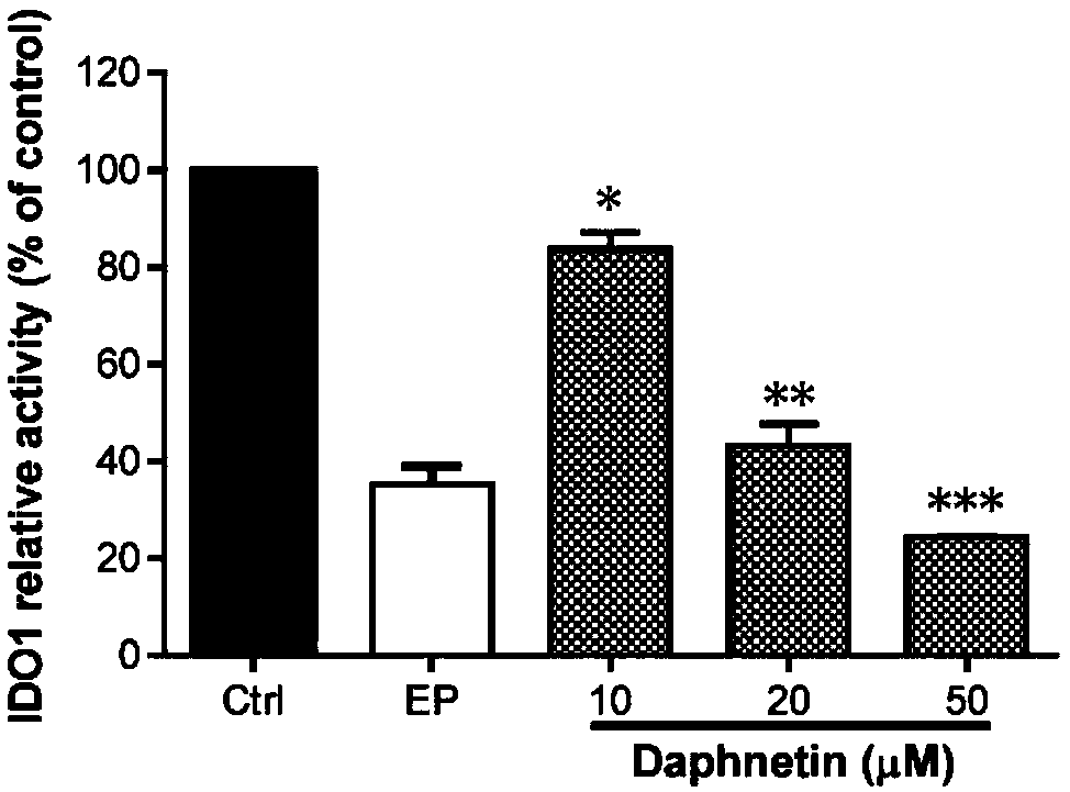 Anti-tumor combination drug