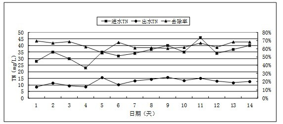 Activated sludge culture method suitable for high-salt sewage