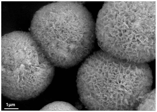 Hydrogenated titanium dioxide composite three-dimensional ballflower-shaped bismuth oxychloride photocatalyst and preparation method thereof