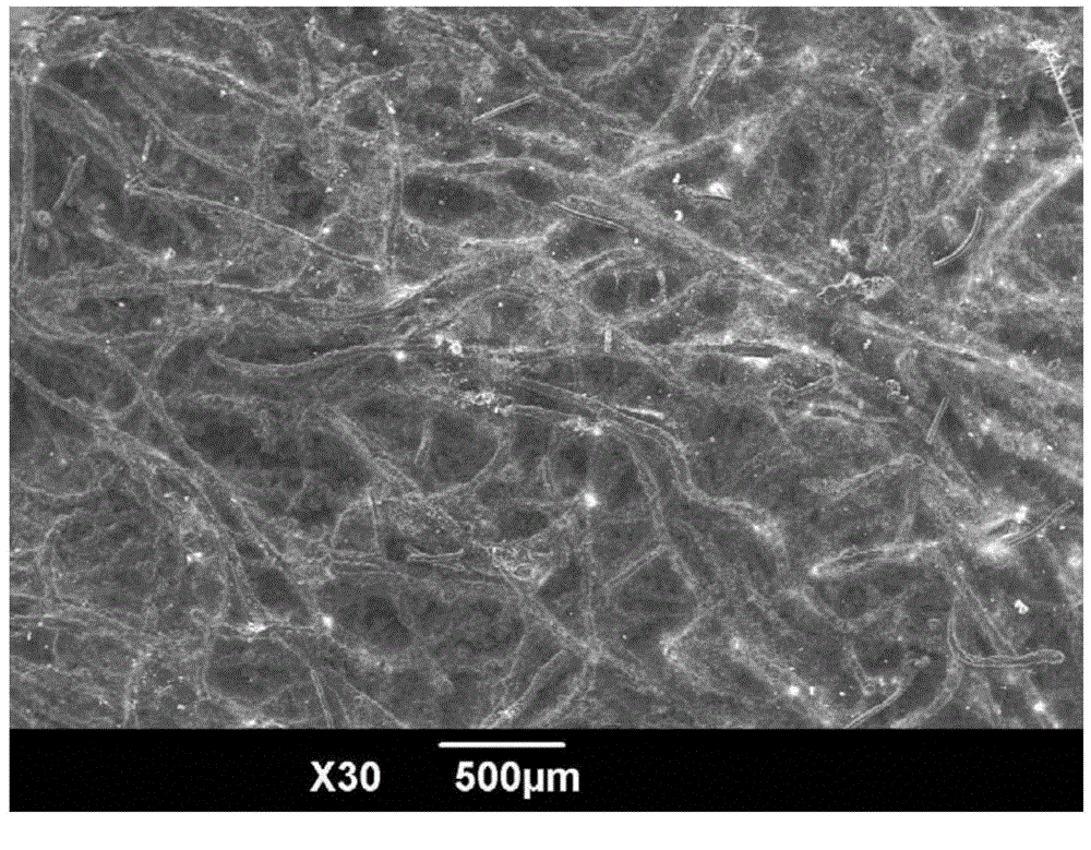 Multi-scale-structure SiC/C porous composite ceramic and preparation method thereof