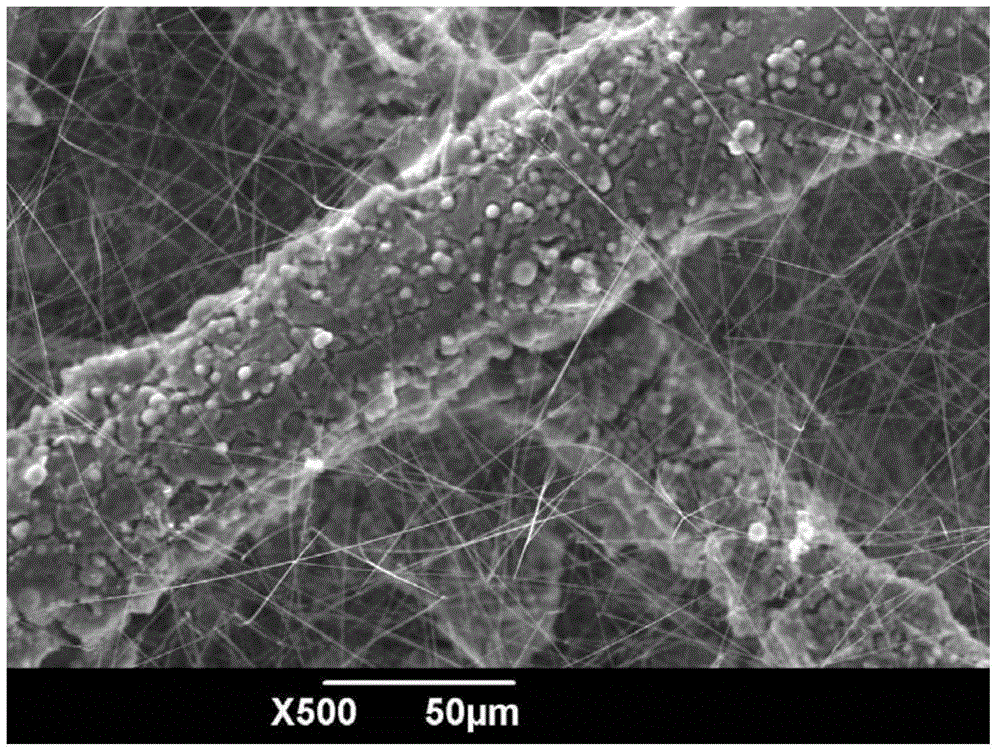 Multi-scale-structure SiC/C porous composite ceramic and preparation method thereof