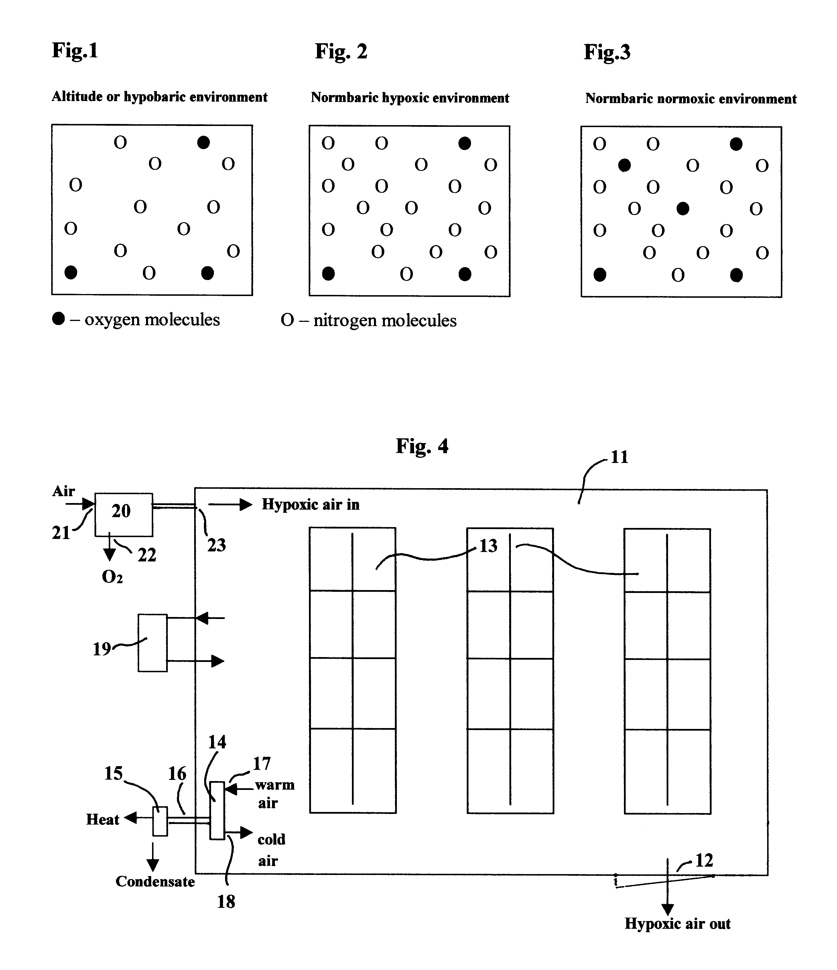 Hypoxic fire prevention and fire suppression systems for computer rooms and other human occupied facilities