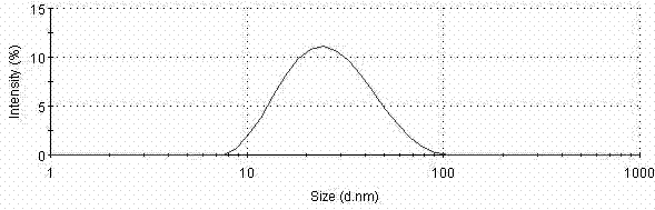 Taxol microemulsion drug composition and preparation method thereof