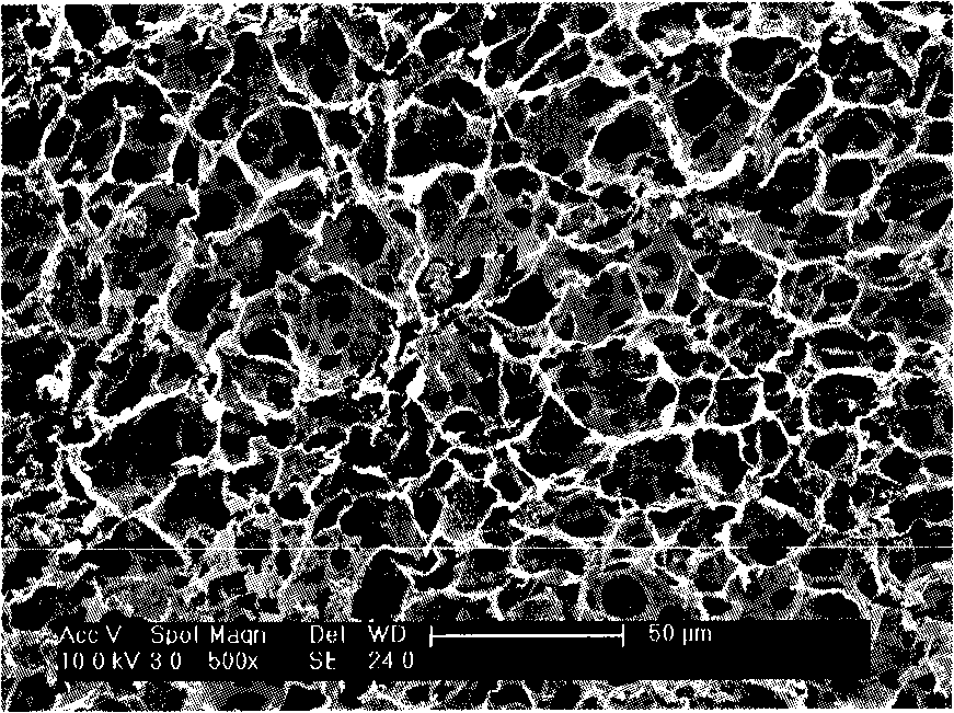 Chitosan spherical honeycombed grain material, producing method and apparatus thereof