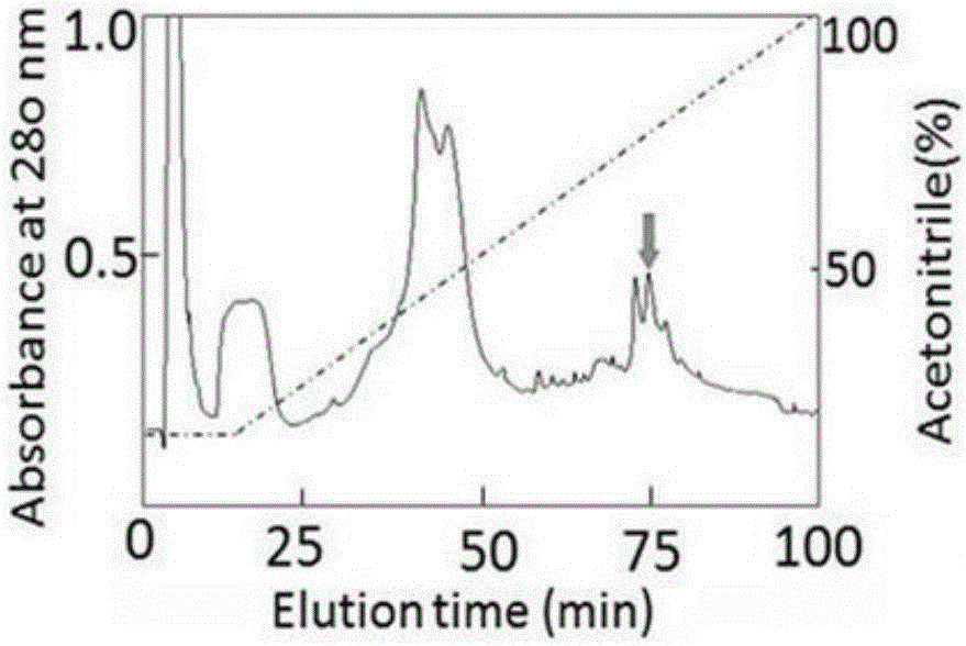 Prokineticin 2 as biomarker for psoriasis and its use