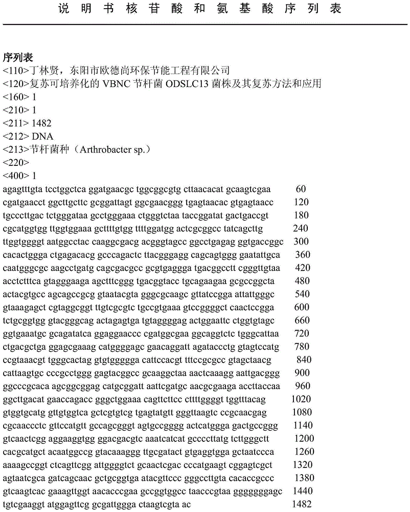 Resurrecting culturable VBNC (viable but non-culturable) arthrobacterium ODSLC13 strain as well as resurrecting method and application thereof