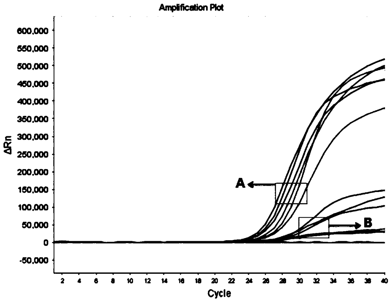 Magnetic bead process nucleic acid extraction and transformation kit, and using method thereof