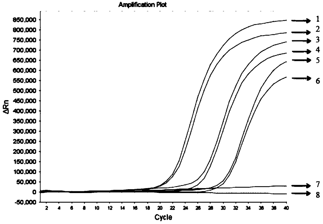 Magnetic bead process nucleic acid extraction and transformation kit, and using method thereof