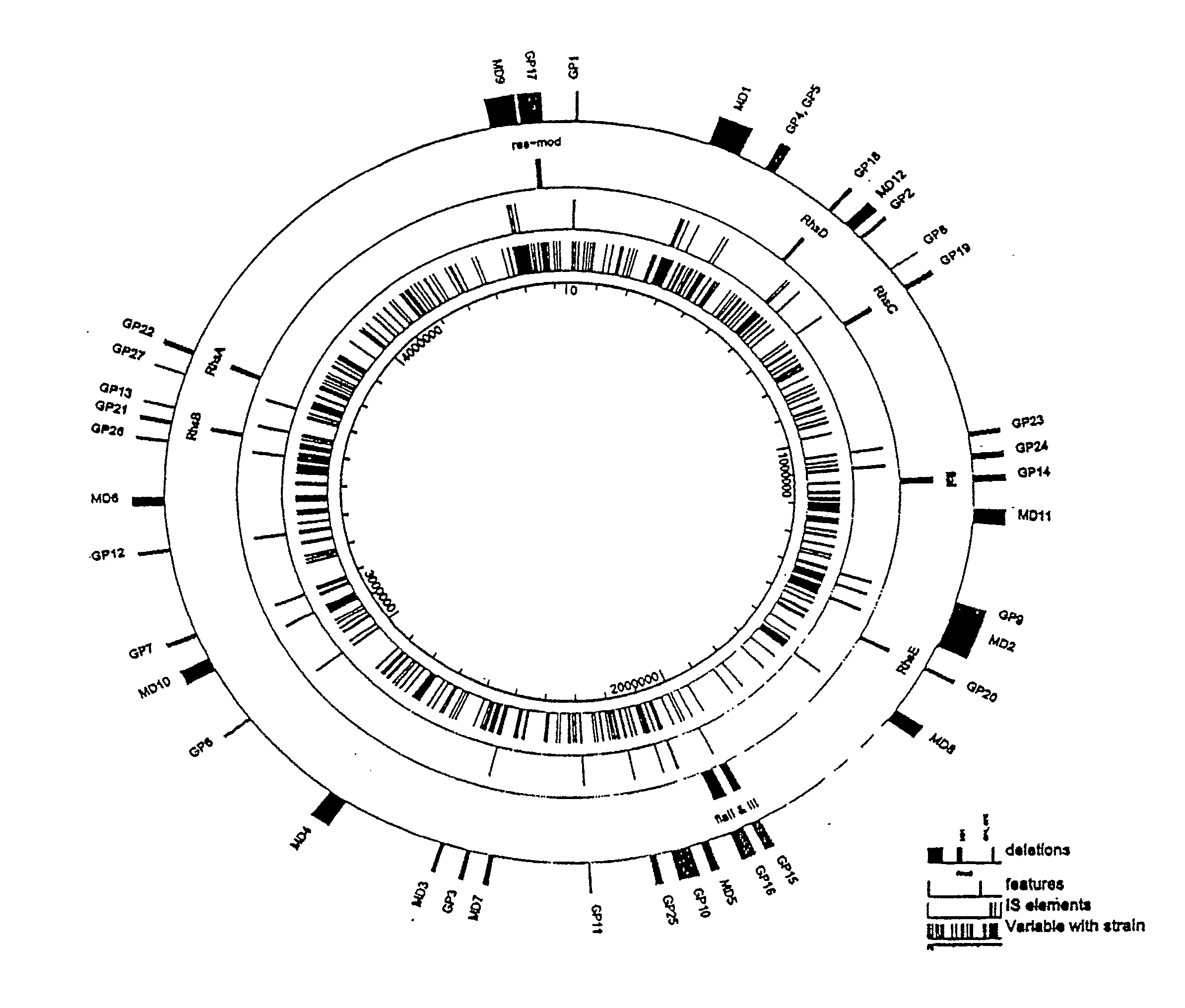 Reduced Genome E. Coli