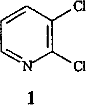 Process for the manufacture of 2,3-dichloropyridine