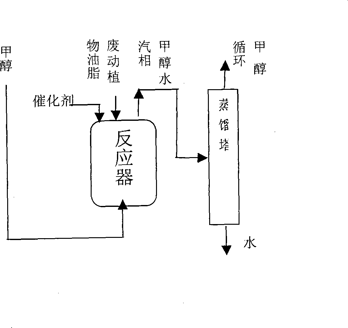 Method for preparing biological diesel oil from waste animals and plants grease