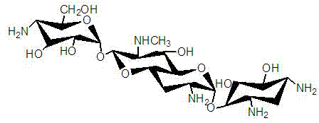 Engineering bacterium for generating carbamoyl tobramycin and application thereof