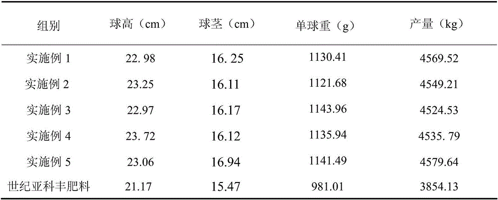 Organic fertilizer for cabbage planting and preparation method thereof