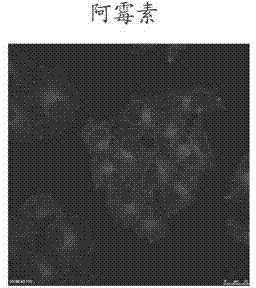 Nano-drug carrier, reduction response nano-drug granules, nano-drug granular preparation and preparation method thereof