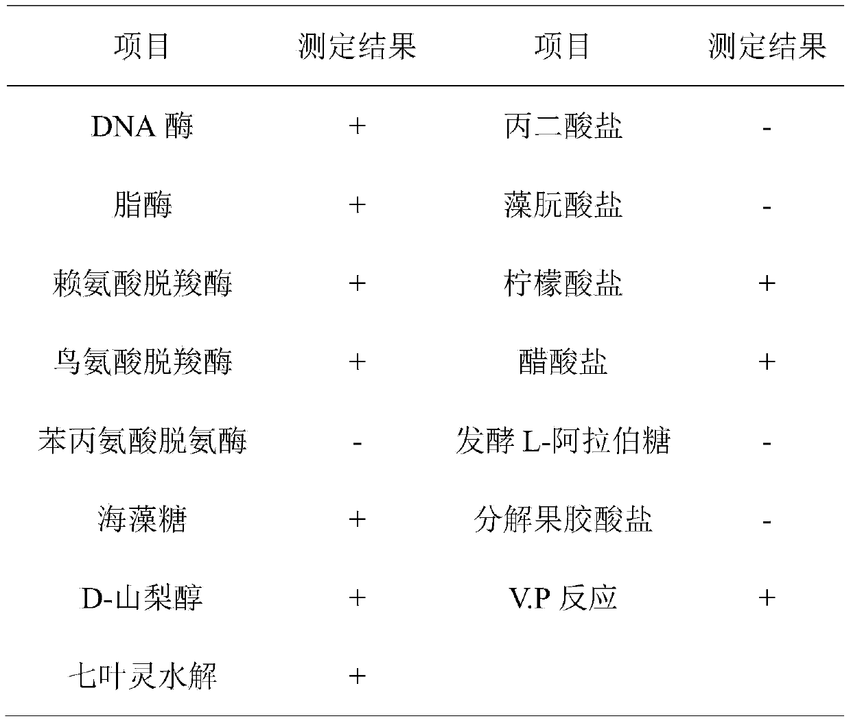 Serratia marcescens strain and synchronous extraction and fermentation method thereof