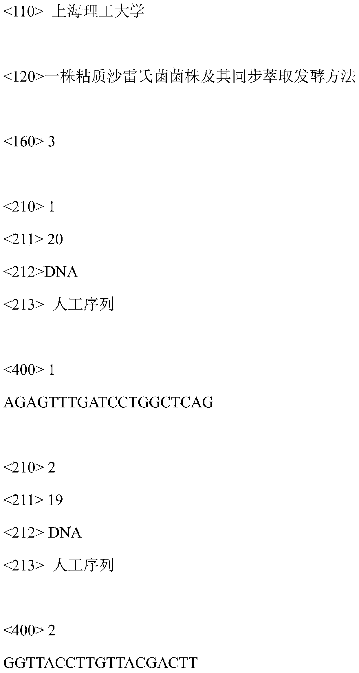 Serratia marcescens strain and synchronous extraction and fermentation method thereof