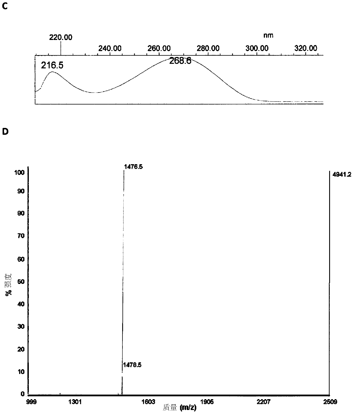 Therapeutic nanoconjugates and uses thereof