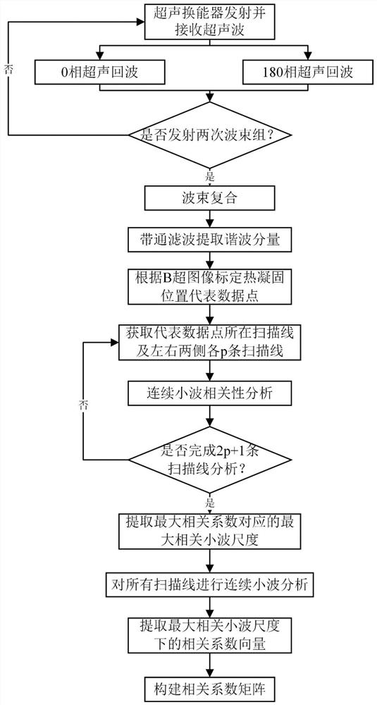 Nonlinear decorrelation fusion ultrasonic multi-parameter thermal coagulation detection and imaging method