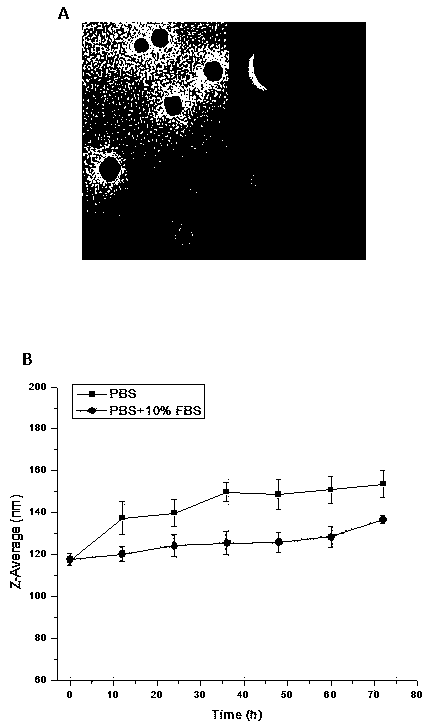 Drug-loading nanoparticles based on ferulic acid polymer, preparation method and applications thereof