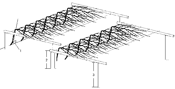 Method suitable for northern grape horizontal connected trellis cultivation