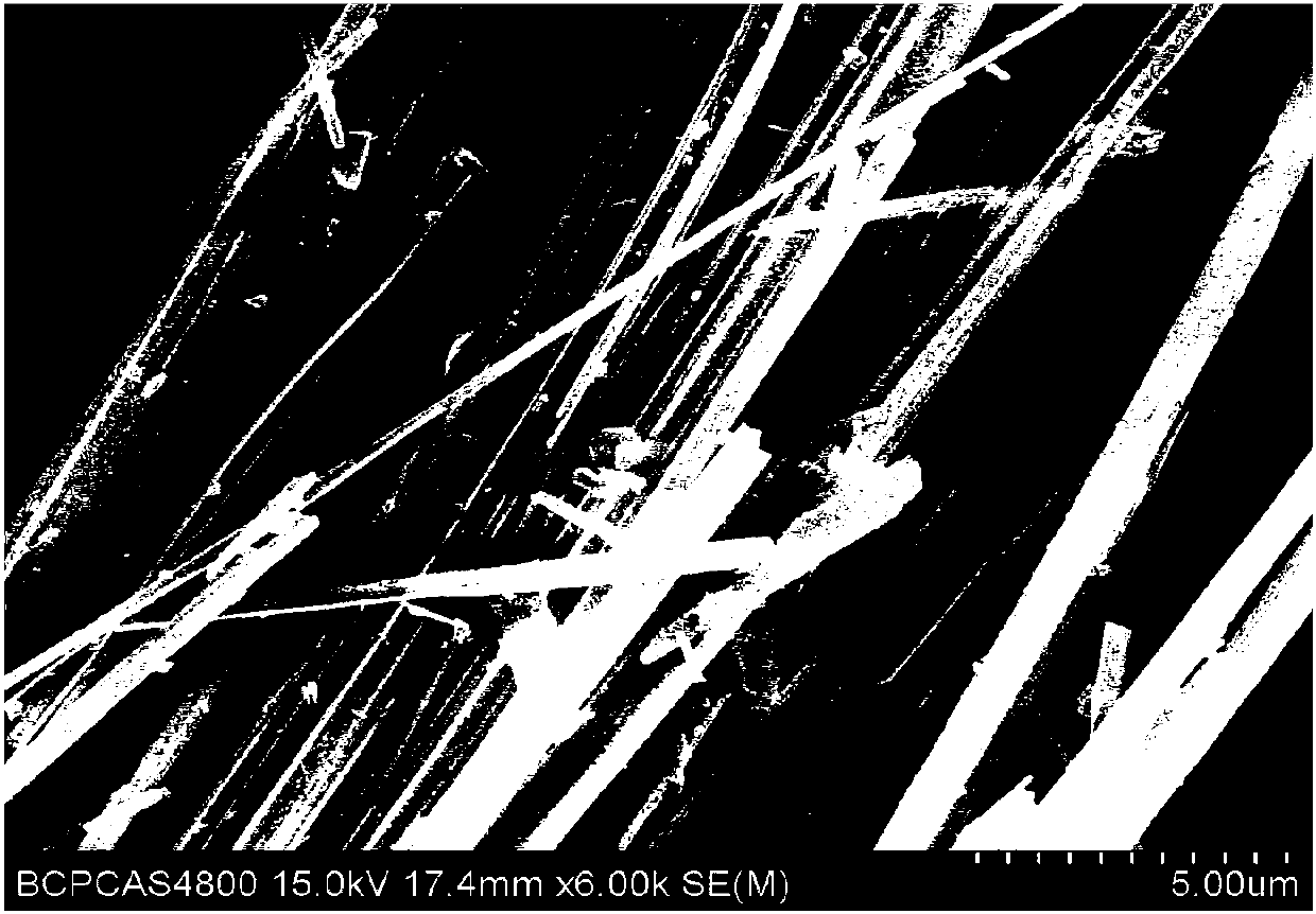 Method for synchronously recovering nitrogen and phosphorus from wastewater by magnesium hydroxide modified sepiolite