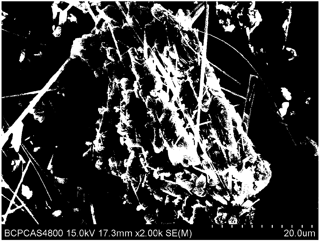 Method for synchronously recovering nitrogen and phosphorus from wastewater by magnesium hydroxide modified sepiolite