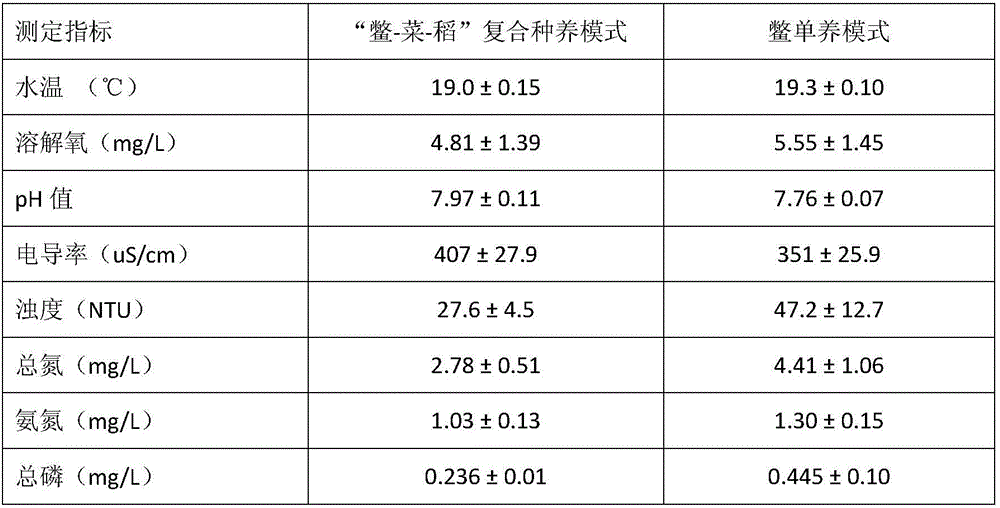 Environment friendly pond composite efficient plantation and cultivation method for soft shelled turtle-vegetable-rice