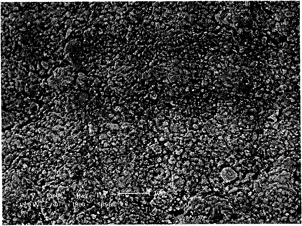 Method for preparing ferric oxide ceramic thin film on the surface of three-dimensional network silicon carbide