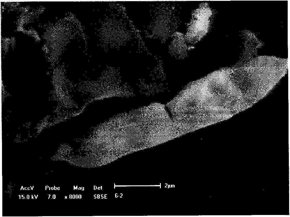 Method for preparing ferric oxide ceramic thin film on the surface of three-dimensional network silicon carbide