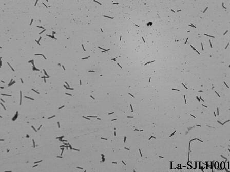 Lactobacillus acidophilus La-SJLH001 with probiotic function of regulating blood sugar and cholesterol level and application thereof