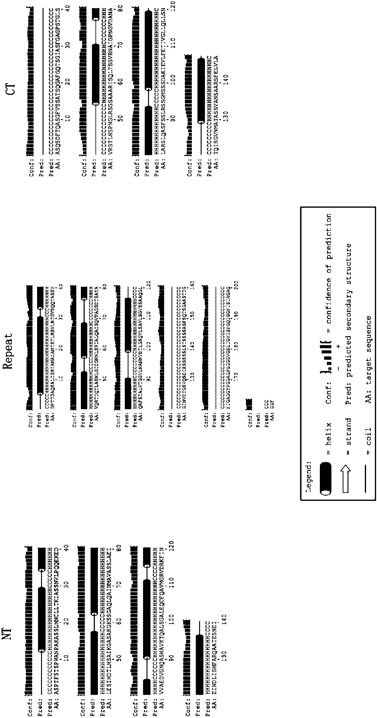 Araneus ventricosus wrapped fibroin full-length gene and preparation method thereof