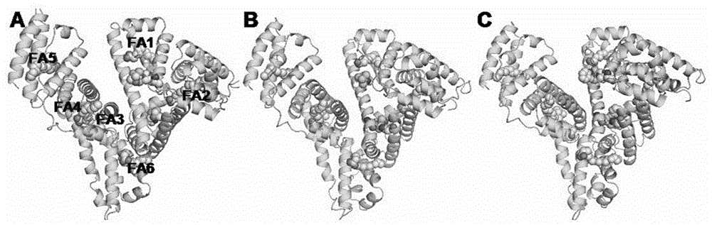 Preparation and application of human serum albumin-ruthenium inorganic drug complex