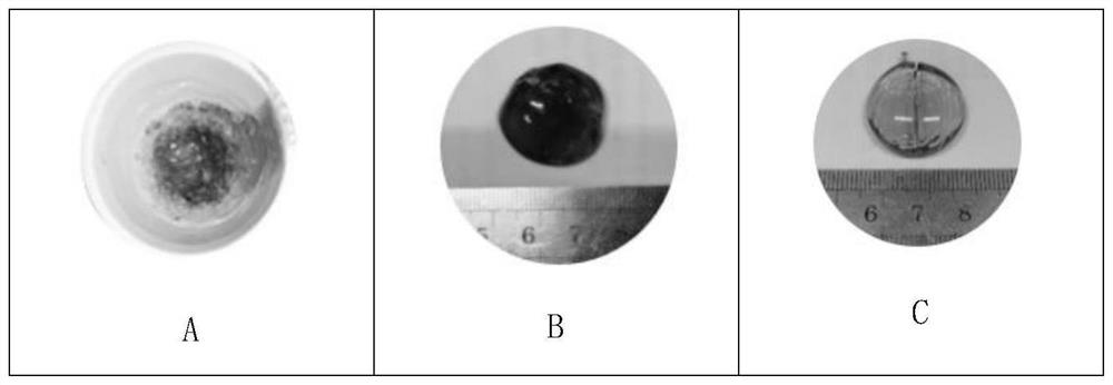 Glass solidification body of incombustible radioactive waste and synergistic glass solidification method