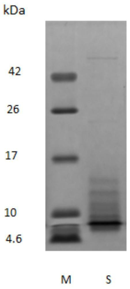 Self-assembled collagen and its preparation method