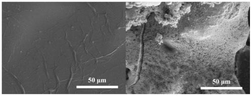 Method for plating silver on surface of carbon material