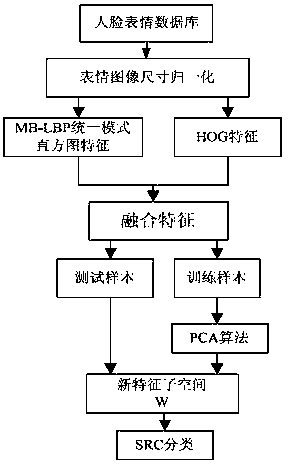 Facial expression recognition method