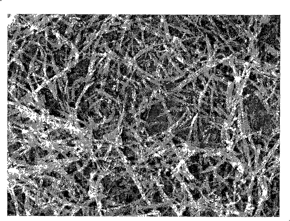 Method of preparing organic macromolecule nano tube from sodium sulfide and perchlorobenzoacenaphthylene